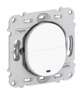 Va-et-Vient Lumineux + LED Schneider Ovalis 10A sans Plaque- Blanc