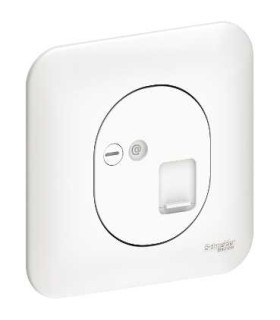 RJ45 CAT6 UTP TEL / INFO Schneider Ovalis + Plaque - Blanc