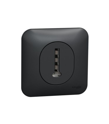 Prise téléphone en T Ovalis- 8 contacts avec plaque de finition - Anthracite