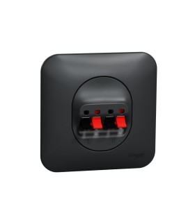 Prise haut-parleurs Ovalis -2 sorties avec plaque - Anthracite