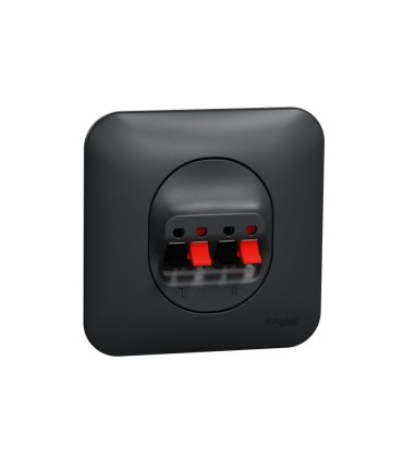 Prise haut-parleurs Ovalis -2 sorties avec plaque - Anthracite