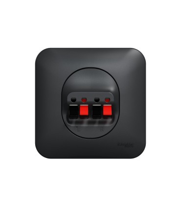 Prise haut-parleurs Ovalis -2 sorties avec plaque - Anthracite