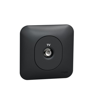 Prise TV simple Ovalis- fixation à griffes, avec plaque - Anthracite