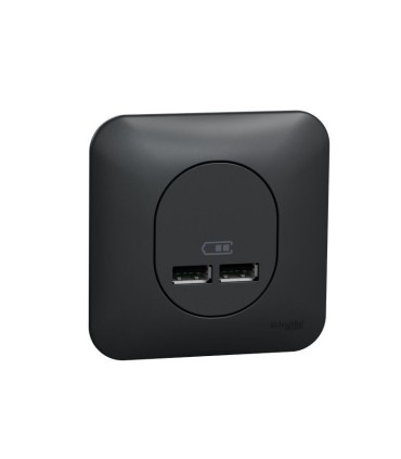 Double chargeur USB type A Ovalis 2.1 A avec plaque de finition - Anthracite