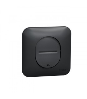 Interrupteur lumineux temoin / localisation Ovalis avec plaque Anthracite