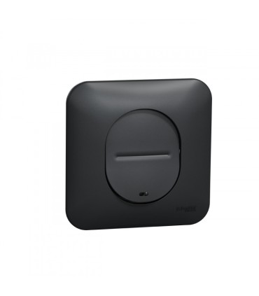 Interrupteur lumineux temoin / localisation Ovalis avec plaque Anthracite