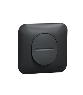 Interrupteur va et vient Ovalis 10AX avec griffes et plaque - Anthracite
