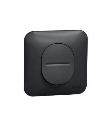 Interrupteur va et vient Ovalis 10AX avec griffes et plaque - Anthracite