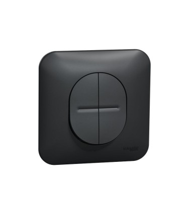 Double va-et-vient Ovalis 10AX - fixation par vis avec plaque - Anthracite