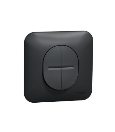 Va-et-vient + poussoir NO/NF Ovalis - Connexion auto / avec plaque - Anthracite