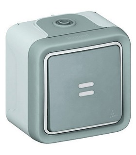Interrupteur ou va-et-vient témoin câblage existant Plexo complet IP55 saillie 10AX gris