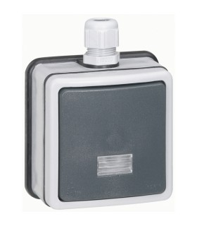Interrupteur ou va-et-vient bipolaire à voyant Plexo IP66 complet 10A gris