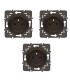 Pack 3 prises connectées Céliane with Netatmo 16A sans plaque graphite