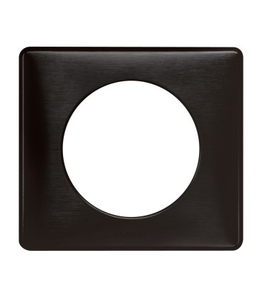 PLAQUE 1 POSTE Céliane CARBONE