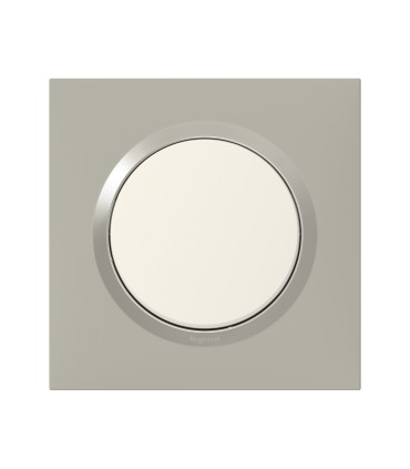 Plaque de finition Dooxie Plume - 1 poste / Legrand