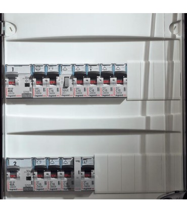 Disjoncteur P+N DNX³ 4500 6kA arrivée borne automatique sortie borne à vis 230V~ 16A courbe C