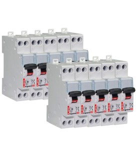 Lot de 10 Disjoncteurs DNX³ 20A - P+N 230V- à vis