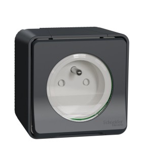 Prise de courant 2P+T Mureva Styl 16A connexion à vis  IP55 - gris