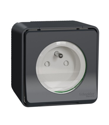 Prise de courant 2P+T Mureva Styl 16A connexion à vis  IP55 - gris