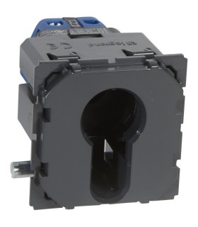 Poussoir à clé 3 positions Céliane inverseur avec arrêt 10A