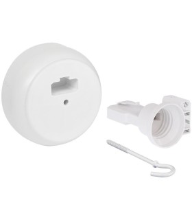 Boîte centre DCL saillie  + piton + douille E27