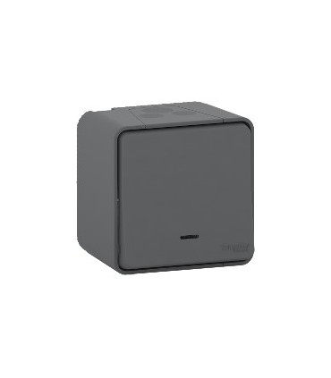 Interrupteur Va et vient lumineux Mureva Styl saillie gris