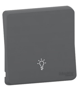 Enjoliveur picto lumière Mureva Styl gris