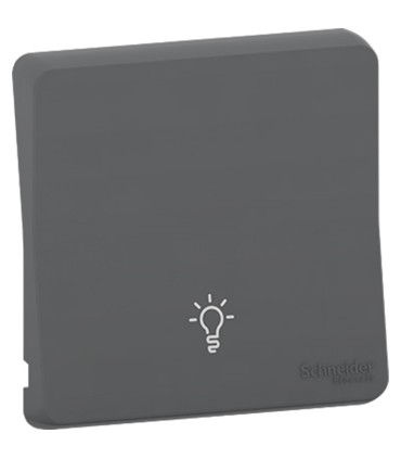 Enjoliveur picto lumière Mureva Styl gris