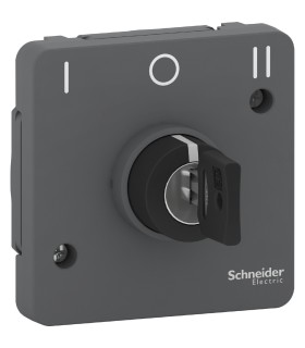 Interrupteur à clé 3 positions Mureva Styl gris