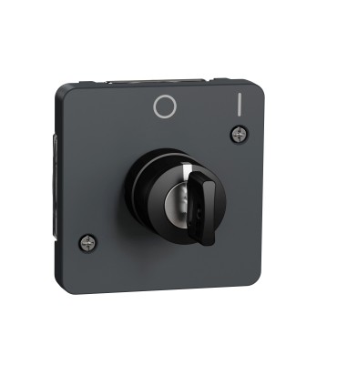 Interrupteur à clé 2 positions  Mureva Styl gris