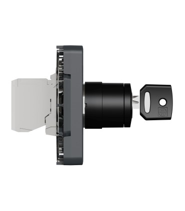 Interrupteur à clé 2 positions  Mureva Styl gris