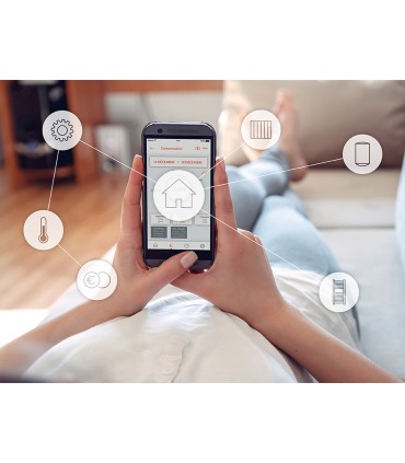 BRIDGE COZYTOUCH THERMOR PASSERELLE CONTROLE RADIATEUR