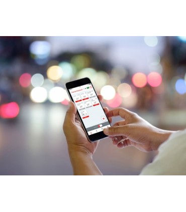 BRIDGE COZYTOUCH THERMOR PASSERELLE CONTROLE RADIATEUR