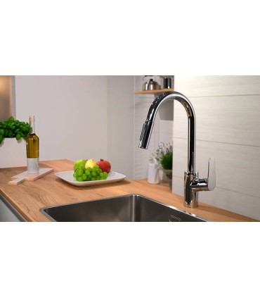 Mitigeur évier FOCUS 240 Hansgrohe avec douchette