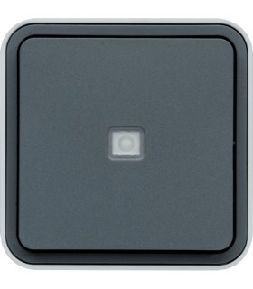 Cubyko va et vient témoin + neutre saillie gris