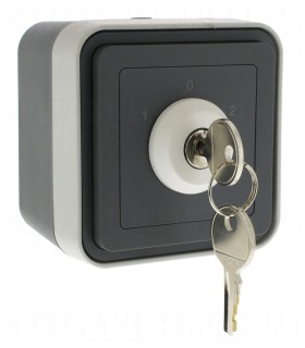 Interrupteur à clé Cubyko 3 positions saillie gris