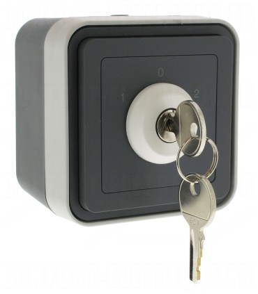 Interrupteur à clé Cubyko 3 positions saillie gris