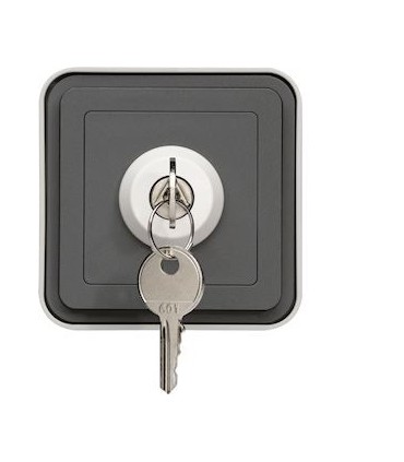 Interrupteur à clé Cubyko 3 positions saillie gris