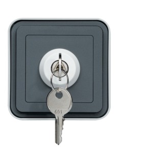 Interrupteur à clé 2 positions étanche, Cubyko saillie gris