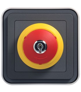 cubyko Arrêt d'urgence à clé saillie gris