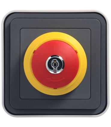 cubyko Arrêt d'urgence à clé saillie gris