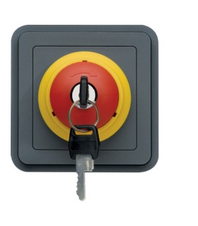 Cubyko Arrêt d'urgence avec clé, associable étanche, gris