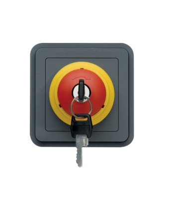 Cubyko Arrêt d'urgence avec clé, associable étanche, gris