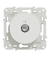 Prise TV simple Odace Blanc