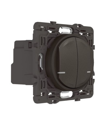 Interrupteur double Neutre connecté Céliane with Netatmo graphite