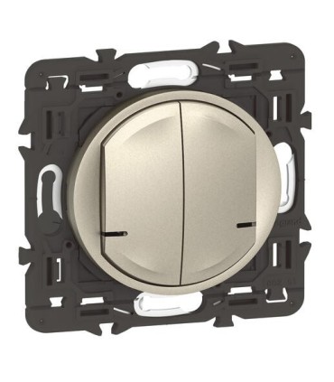 Interrupteur double avec Neutre connecté Céliane with Netatmo titane Alu