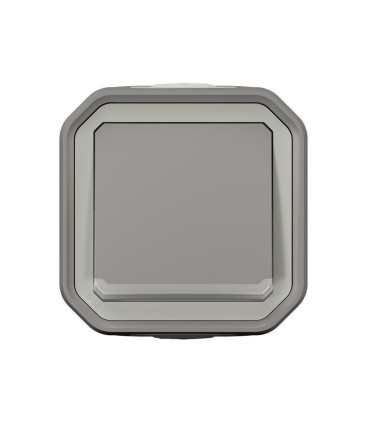 Interrupteur ou va-et-vient témoin Plexo complet saillie - gris