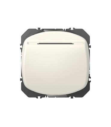 Interrupteur à badge Dooxie Blanc / Legrand