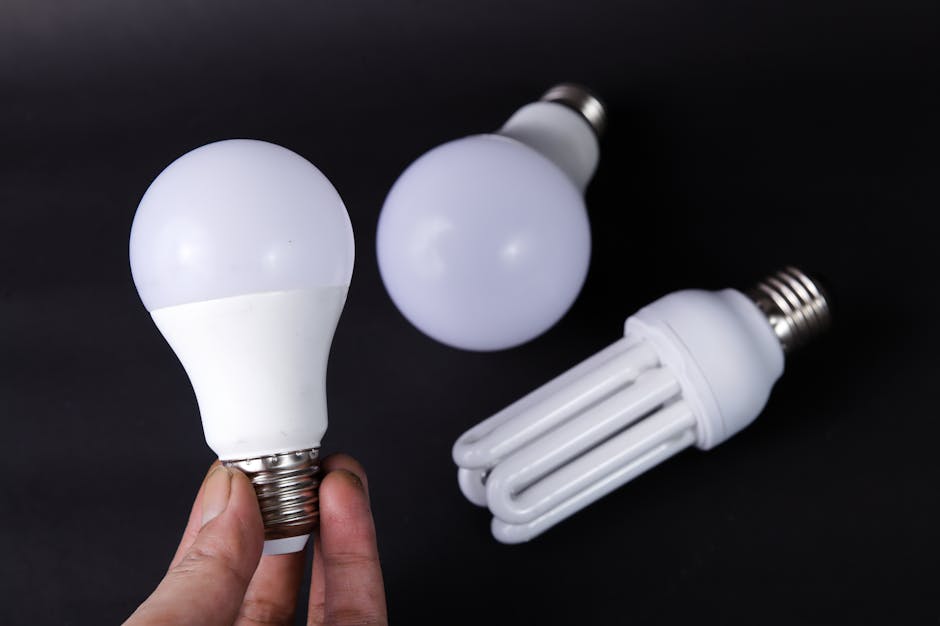 Ampoules LED et fluocompactes économes en énergie.